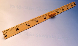 0069_4_websk_2020