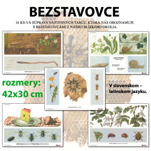 DV-106-1 - Bezstavovce
